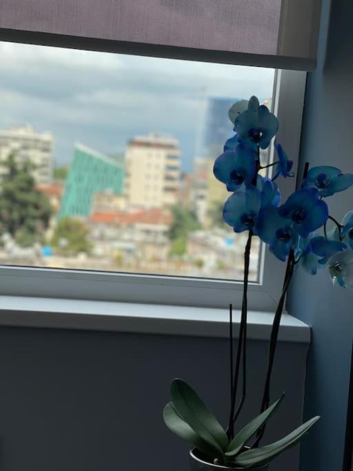 Ferienwohnung Voyage Penthouse Tirana Exterior foto